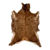 Peau de Cerf d'Europe