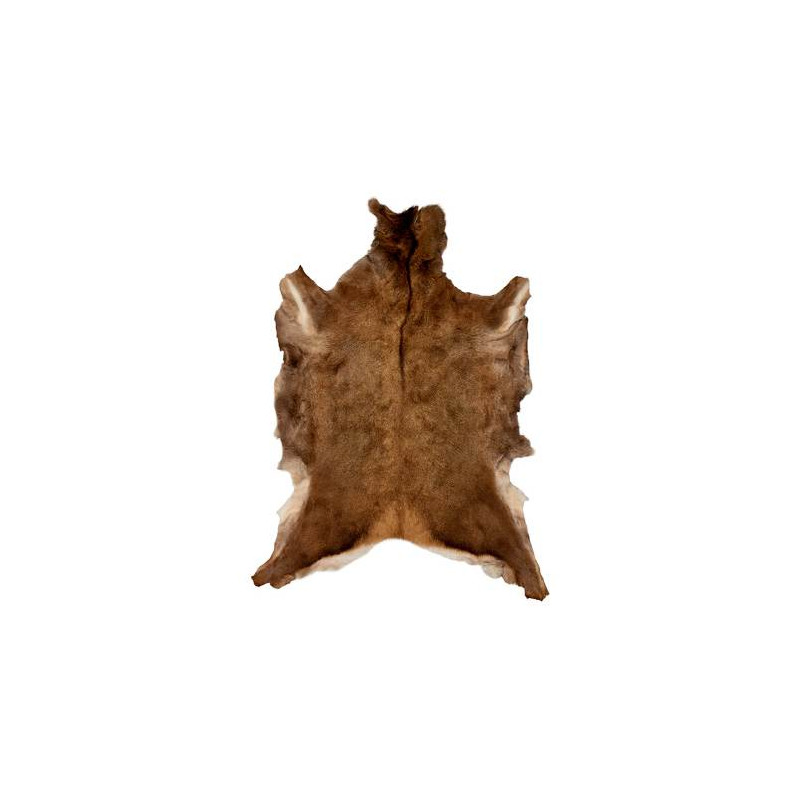 Peau de Cerf d'Europe
