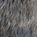 Peau de Sanglier