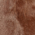 Peau de Blesbok