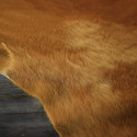 Peau de Vache Teintée jaune orangée