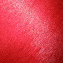 Peau de vache rouge