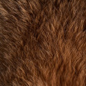 Peau de Lapin marron