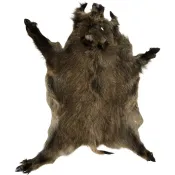 Peau de sanglier