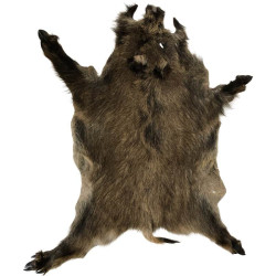 Peau de sanglier