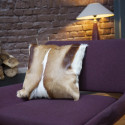Coussin Springbok
