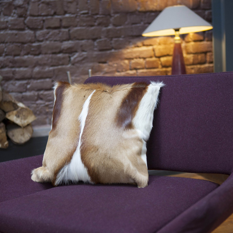 Coussin Springbok