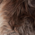 Peau de mouton chinée marron naturelle