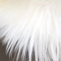Coussin en peau de Mouton Islandais blanc