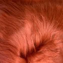 Coussin En Peau De Mouton Islandais Terracotta