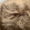 Coussin En Peau De Mouton Islandais Taupe