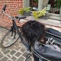 Zwart IJslands Schapenvacht Fietszadel - Xl