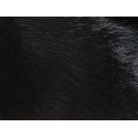 Pouf Teinté Noir 