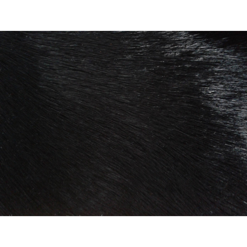 Pouf Teinté Noir 