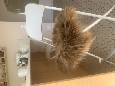 Ajoutez une touche de luxe à votre intérieur avec le tabouret en peau de mouton 
