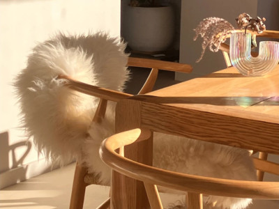 Grossiste Tapis & coussin en Peaux de mouton : Vente en gros PRO