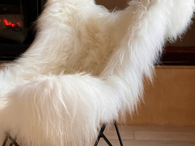 Fauteuil Butterfly : la pièce maîtresse pour votre boutique de décoration
